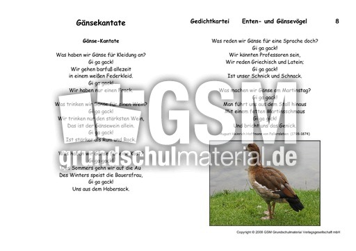 Gänsekantate-Fallersleben.pdf
